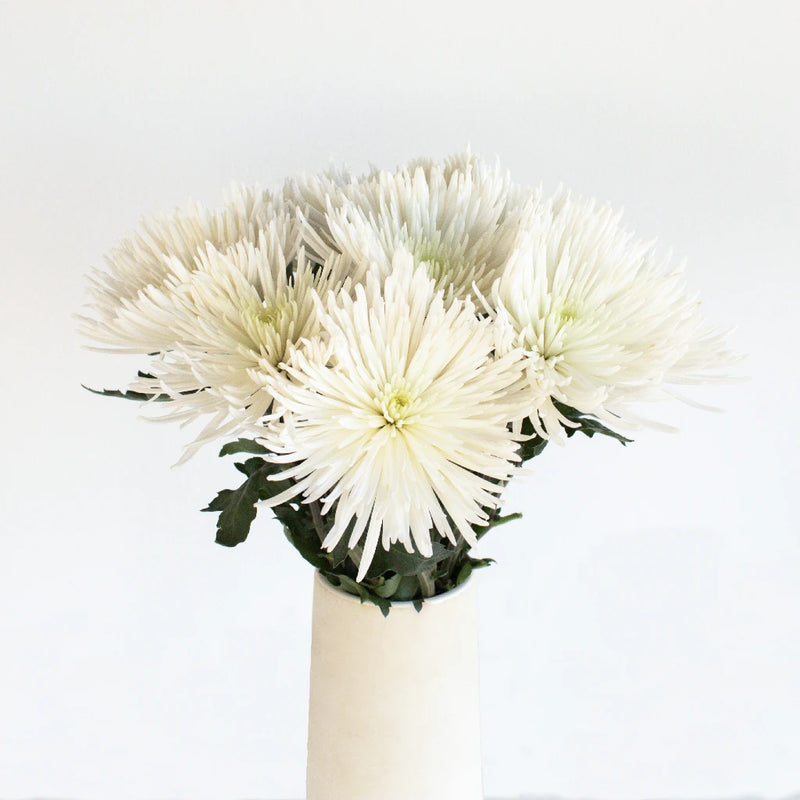 Anastasia Spider White Flowers Vase - Image