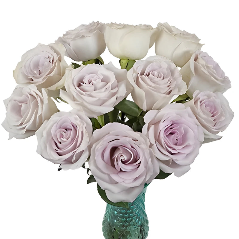 Slightly Silver Rose