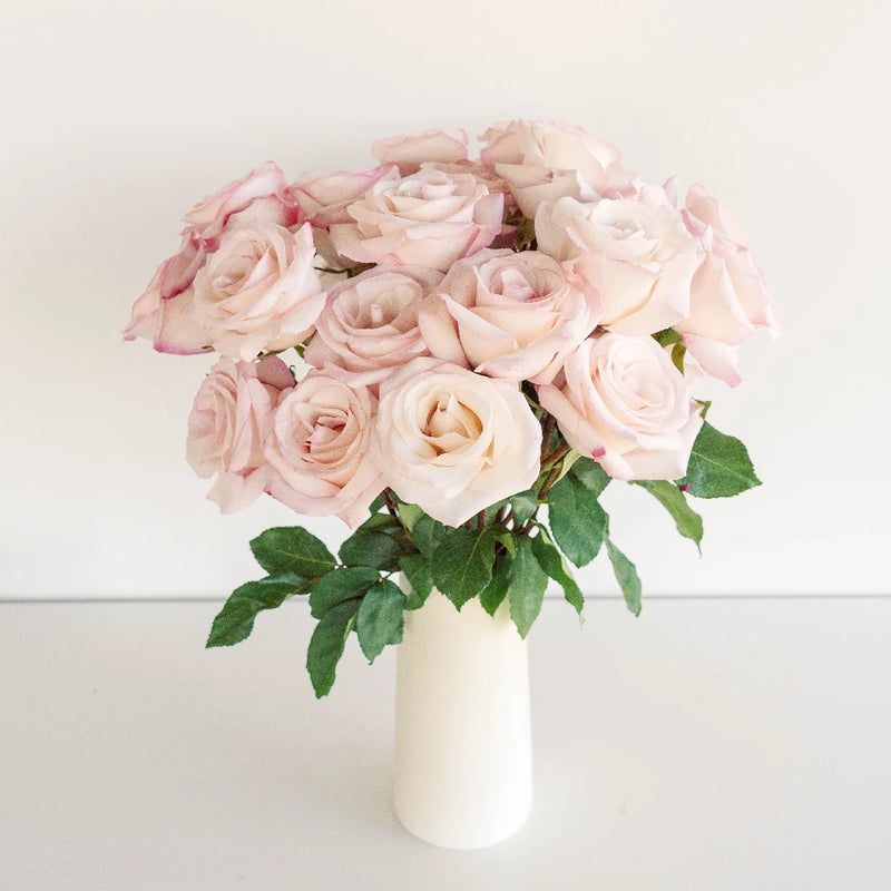 Anna Creamy Light Pink Rose Vase - Image