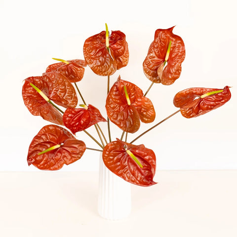 Anthurium Cocoa Tropical Flower Stem - Image