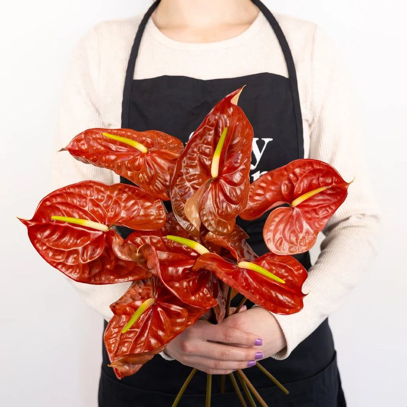 Anthurium Cocoa Tropical Flower Vase - Image