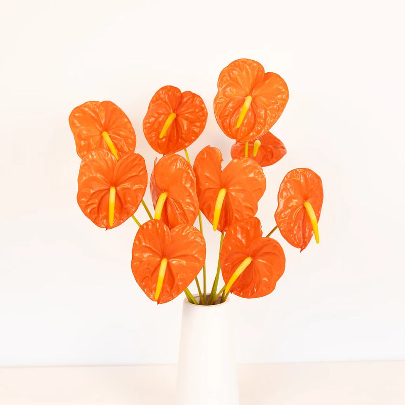 Anthurium Coral Dream Tropical Flower Vase - Image