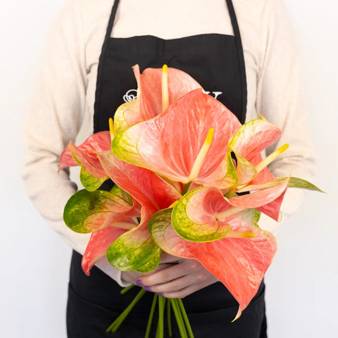 Anthurium Energetic Pink Obake Flower Apron - Image