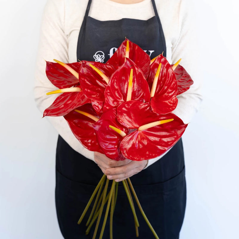 anthurium flower bouquet Buy Wholesale Anthurium Fire Red Tropical Flower in Bulk