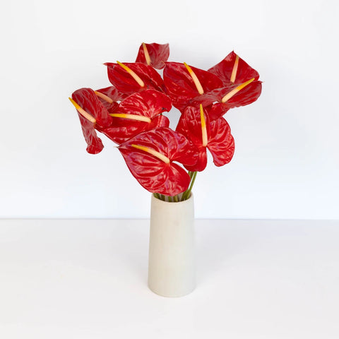 Anthurium Fire Red Tropical Flower Vase - Image