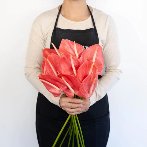 Anthurium Hot Pink Tropical Flower Apron - Image