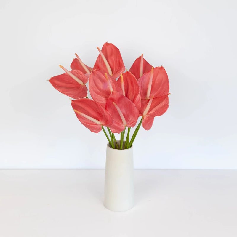 Anthurium Hot Pink Tropical Flower Vase - Image