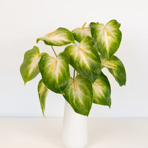 Anthurium Key Lime Tropical Flower Vase - Image
