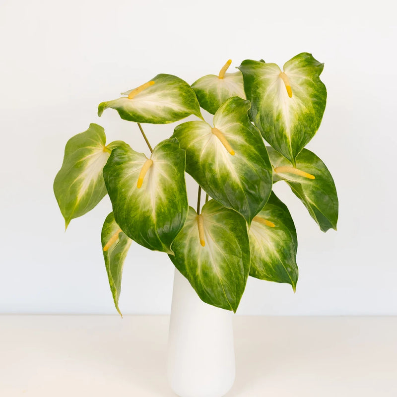 Anthurium Key Lime Tropical Flower Vase - Image