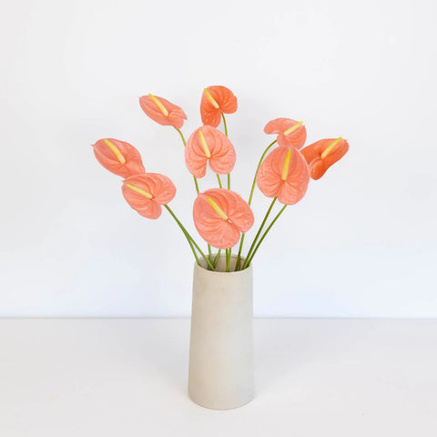 Anthurium Peach Tropical Flower Vase - Image