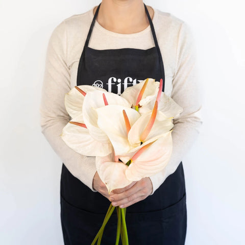 Anthurium Seashell White Tropical Flower Apron - Image