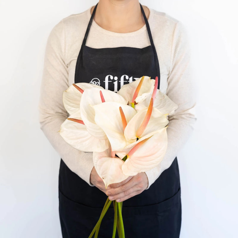 Anthurium Seashell White Tropical Flower Apron - Image