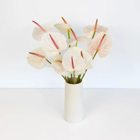 Anthurium Seashell White Tropical Flower Vase - Image