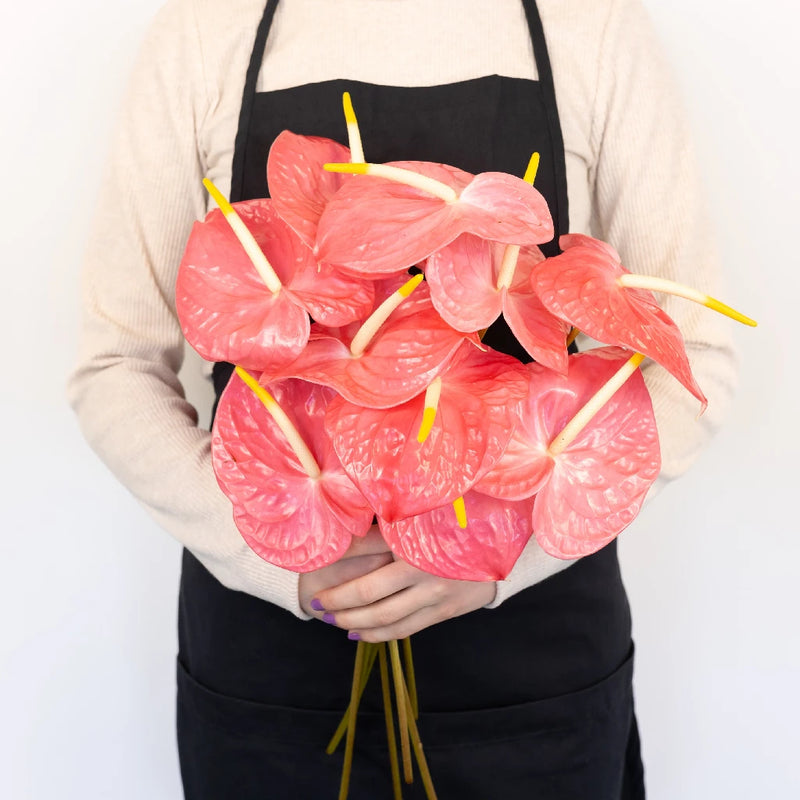 Anthurium Summer Crush Blush Tropical Flower Vase - Image