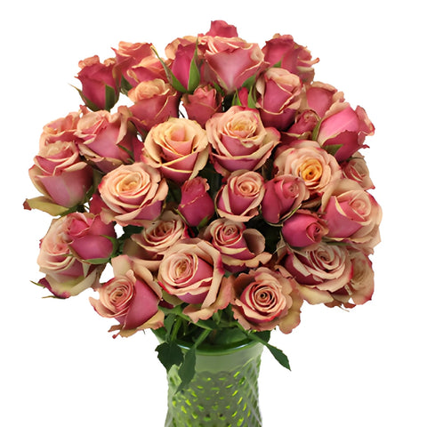 Antique Pink Spray Roses