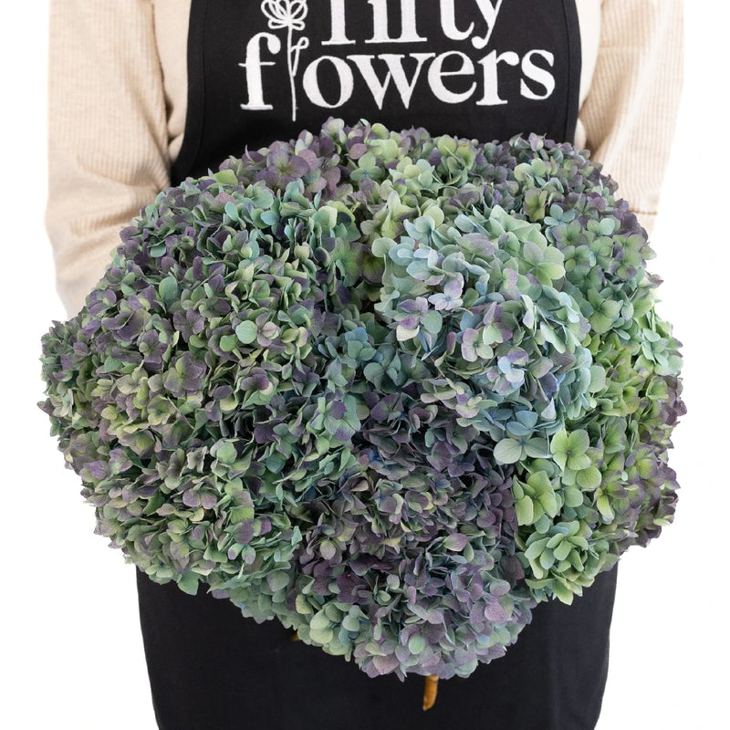 Antique Blue Jumbo Hydrangea Apron - Image