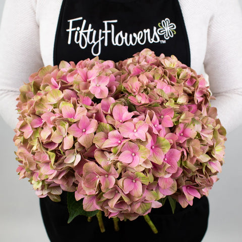 Antique Brushed Clover Dutch Hydrangeas Bunch in Band