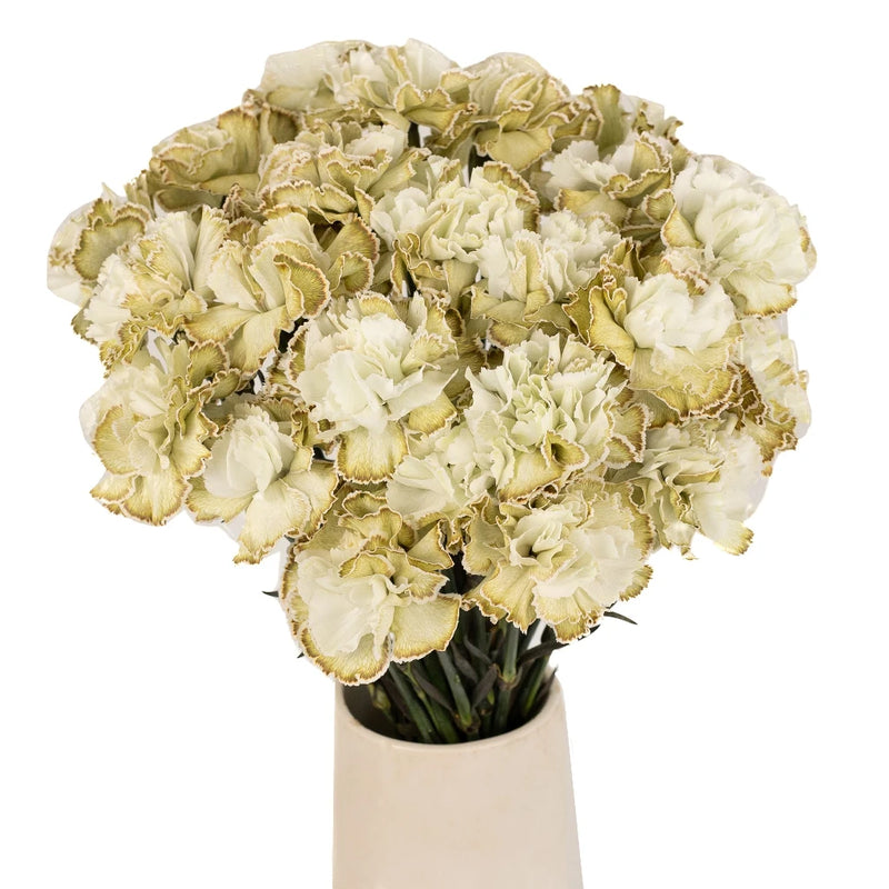 Antique Green Carnation Flowers Wholesale Vase - Image