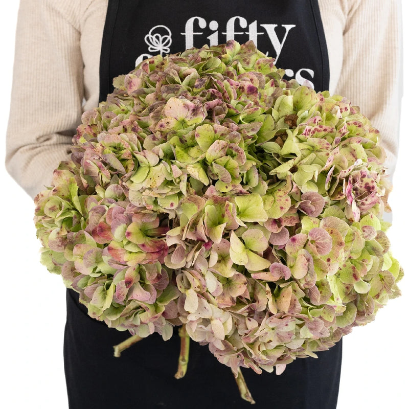 Antique Green Red Hydrangea Extra Large Apron - Image