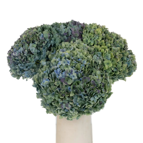 Antique Hydrangea Blue And Green Vintage Flower Vase - Image