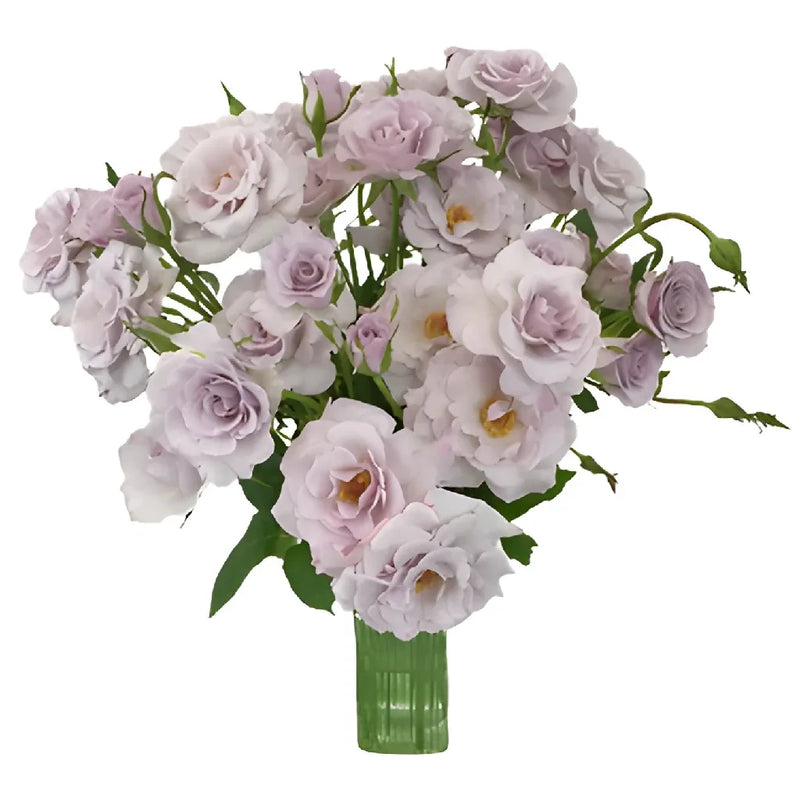 Antique Lavender Spray Roses Bulk Vase - Image