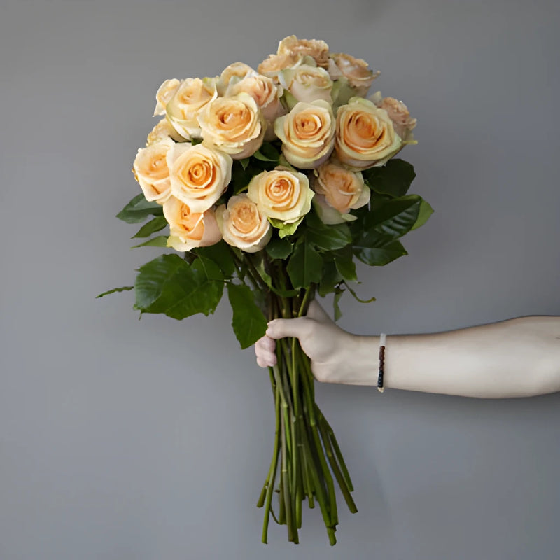 Fresh European Cut Peach Roses For Your House