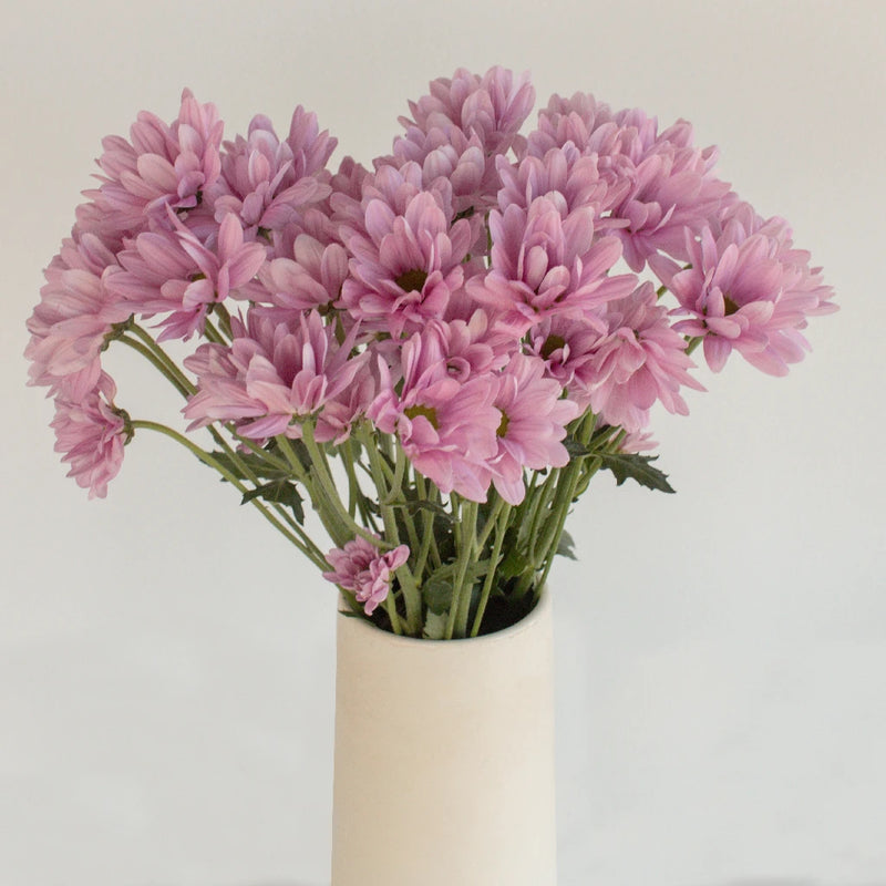 Antique Pink Daisy Flower Vase - Image