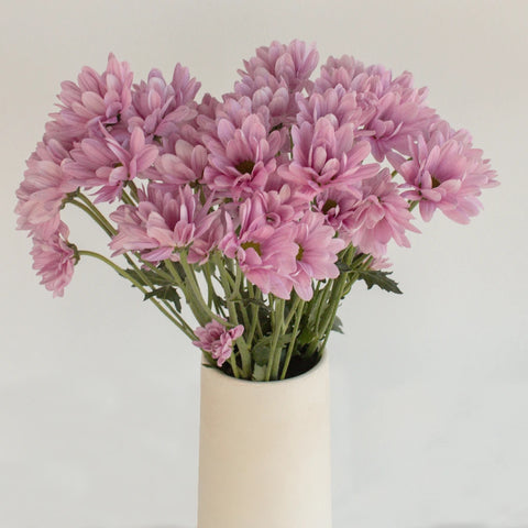Antique Pink Daisy Flower Vase - Image