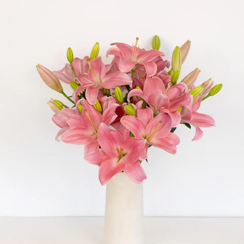 Antique Pink Hybrid Lily Vase - Image