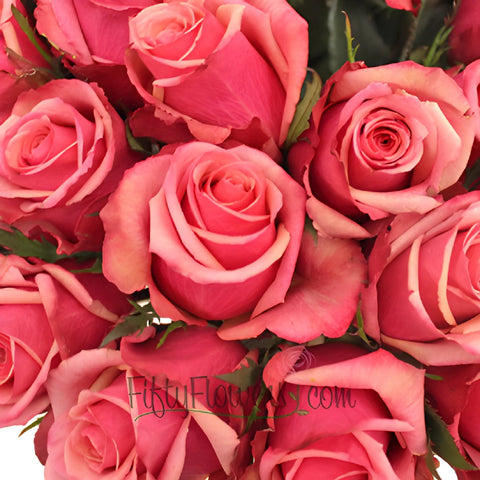 Antique Pink Murano Roses Up Close