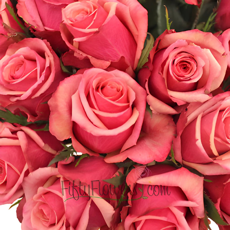 Antique Pink Murano Roses Up Close