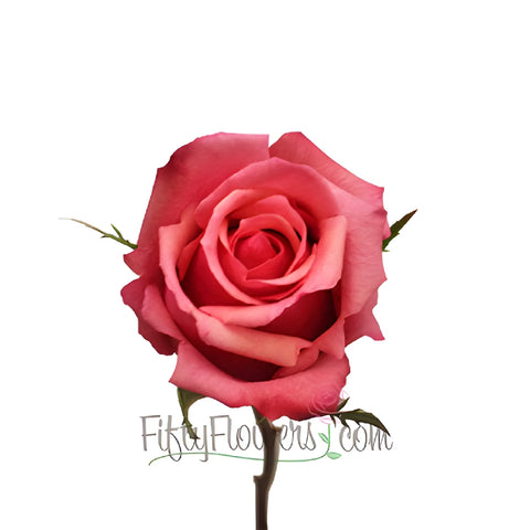 Antique Pink Murano Rose Stem