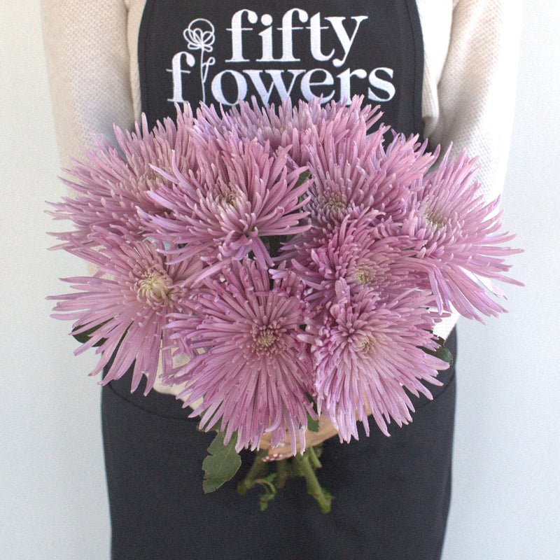 Antique Purple Spider Flower Apron - Image