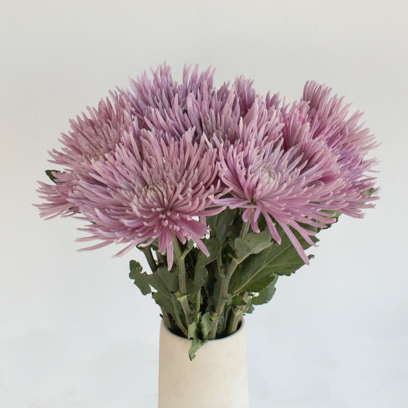 Antique Purple Spider Flower Vase - Image