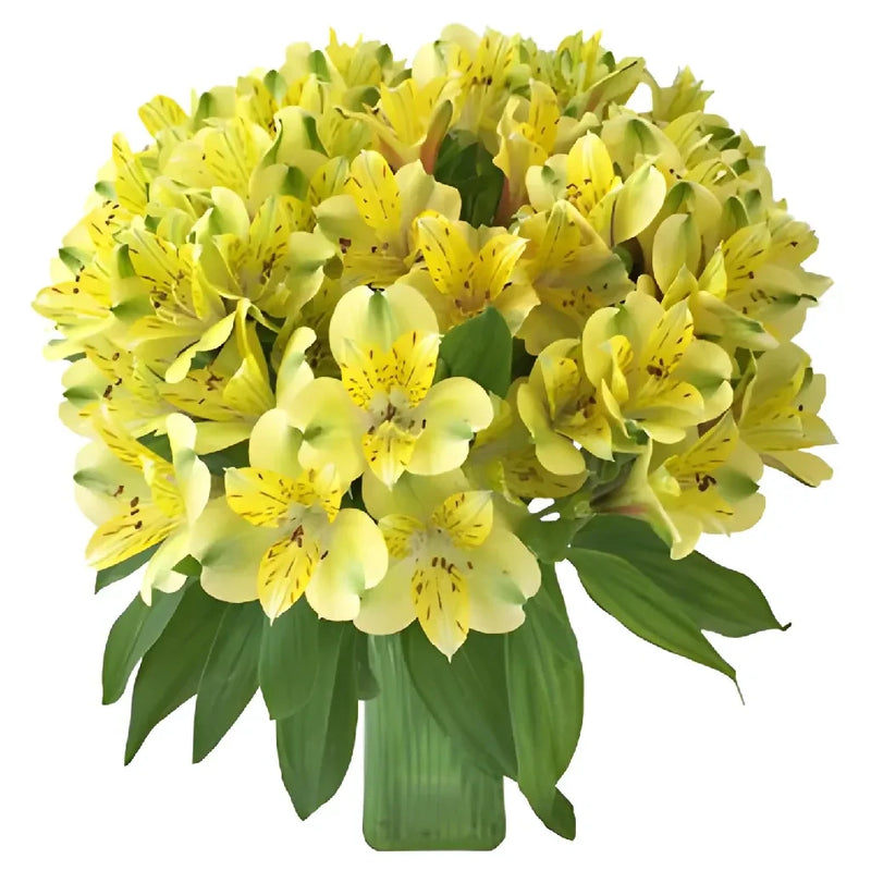 Apple Yellow Peruvian Lilies Flowers Vase - Image