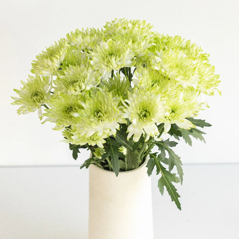 Appletini Dahlia Style Flower Vase - Image