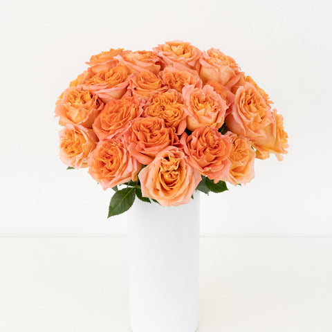 Apricot Blend Garden Rose Vase - Image