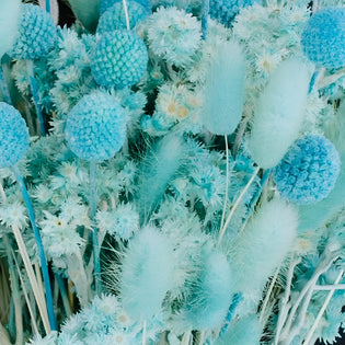 Aqua Blue Dried Flower Pack Close Up - Image