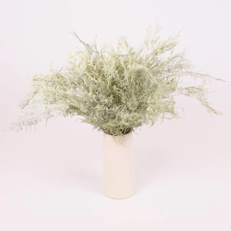 Asparagus Cream Wholesale Wedding Greenery in a Vase