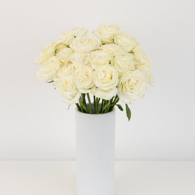 Aspen White Novelty Rose Vase - Image