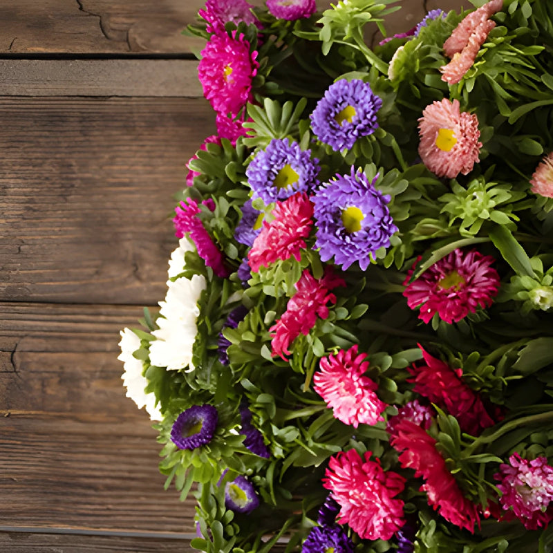 Mixed Color Matsumoto Aster Flowers