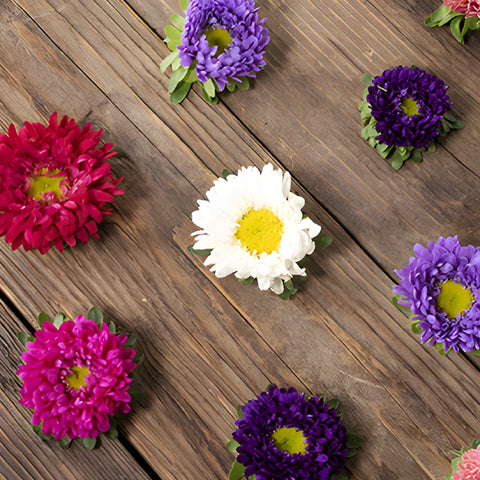 Mixed Color Matsumoto Aster Flowers