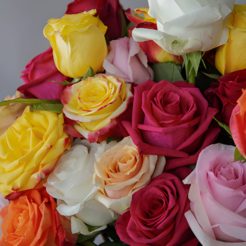 Farm Fresh Cut European Rainbow Roses