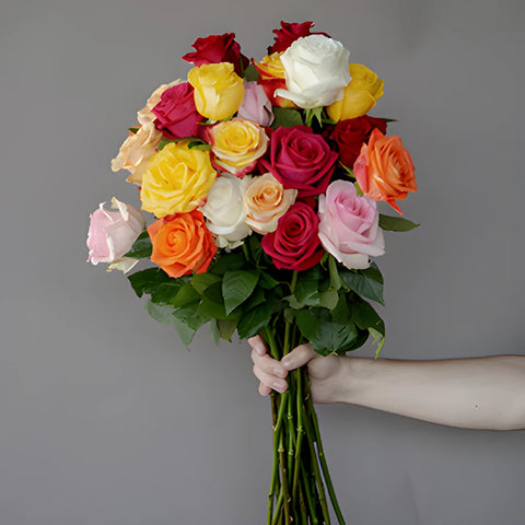 Farm Fresh Cut European Rainbow Roses