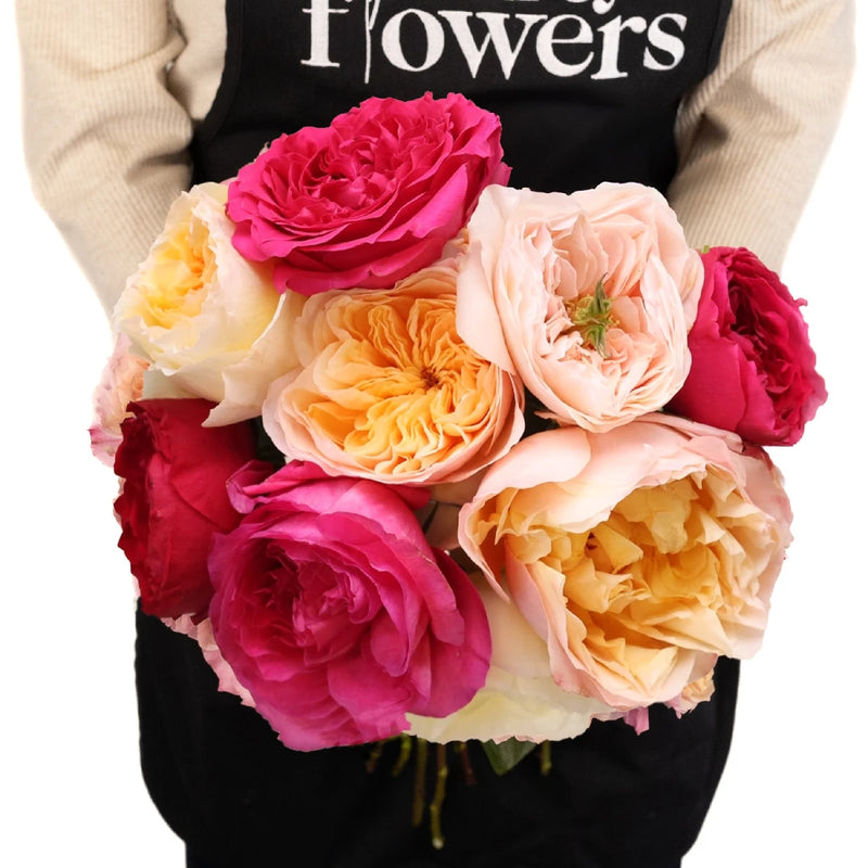Assorted David Austin Garden Roses Apron - Image