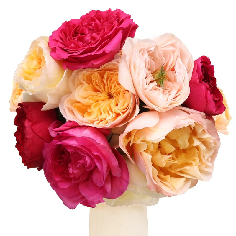 Assorted David Austin Garden Roses Vase - Image