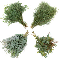 Eucalyptus Assortment Wholesale Greenery