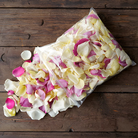 Buy Dried Rose Petals Grey Knights