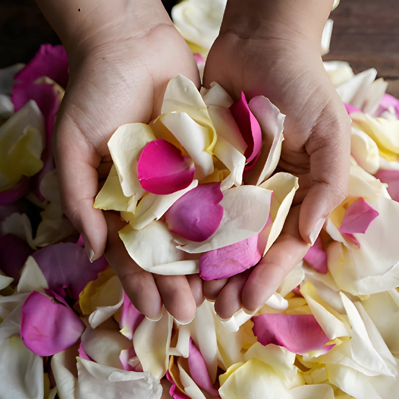 Grey Knights Dried Rose Petals