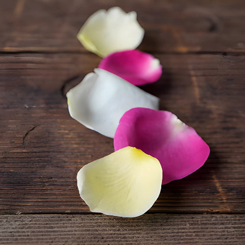 Grey Knights Dried Flower Petals